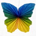 Schmetterling_04