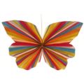 Schmetterling_06