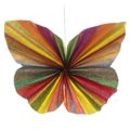 Schmetterling_07