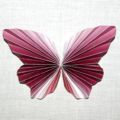 Schmetterling_09