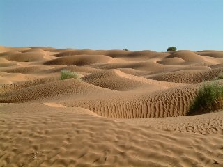 Tunesien2006_054